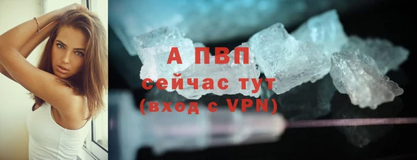 СК Михайлов