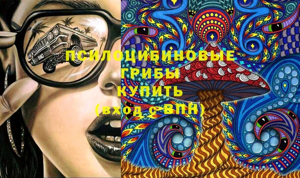 СК Михайлов