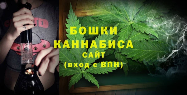 СК Михайлов